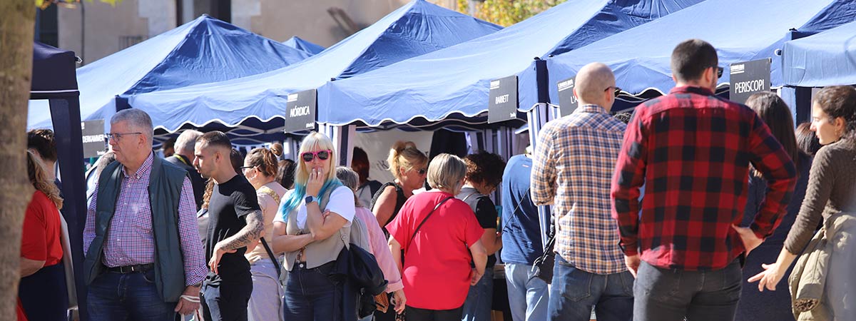 imatge de la activitat